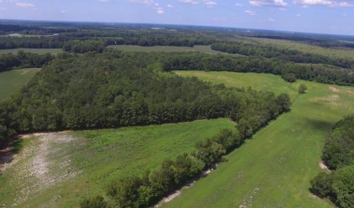 Photo #6 of Grimesland Bridge, Grimesland, NC 56.5 acres