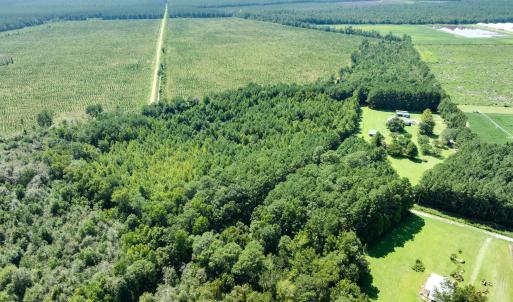 Photo #7 of Wisteria, Willard, NC 20.1 acres