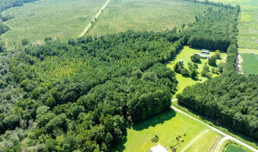 Photo #9 of Wisteria, Willard, NC 20.1 acres