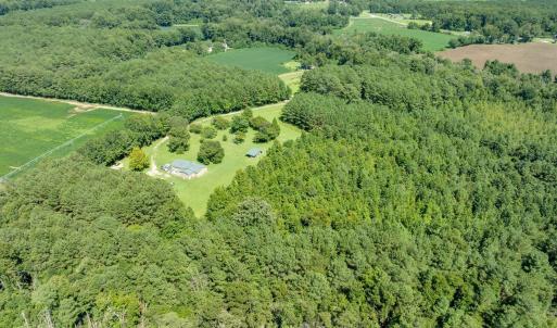 Photo #5 of Wisteria, Willard, NC 20.1 acres