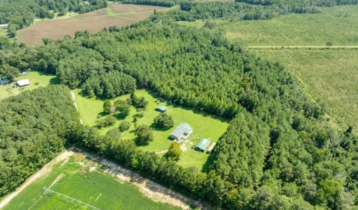 Photo #3 of Wisteria, Willard, NC 20.1 acres