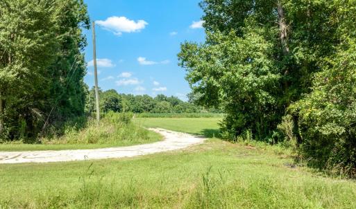 Photo #8 of Wisteria, Willard, NC 20.1 acres