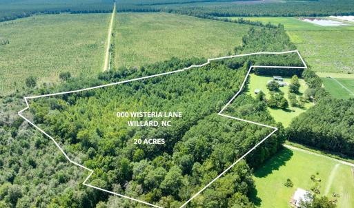 Photo #2 of Wisteria, Willard, NC 20.1 acres
