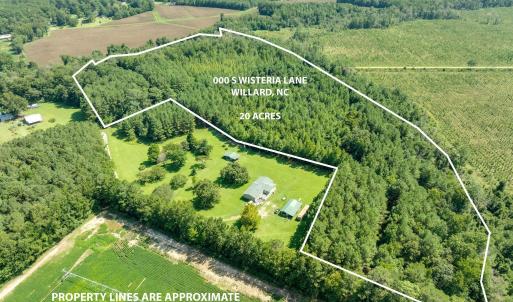 Photo #1 of Wisteria, Willard, NC 20.1 acres