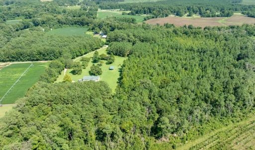 Photo #4 of Wisteria, Willard, NC 20.1 acres