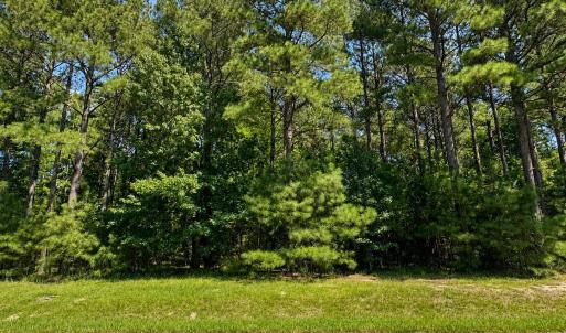 Photo #4 of 732 Batts Island, Edenton, NC 2.0 acres