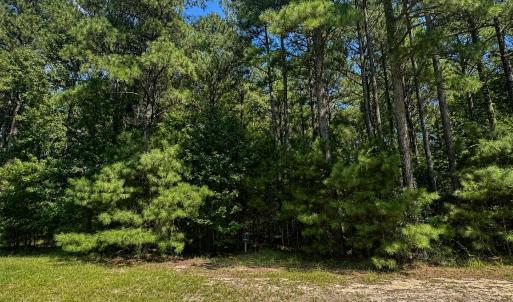 Photo #3 of 732 Batts Island, Edenton, NC 2.0 acres