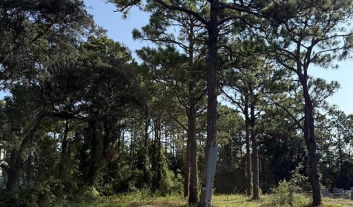 Photo #2 of 308 Fodale, Southport, NC 0.3 acres