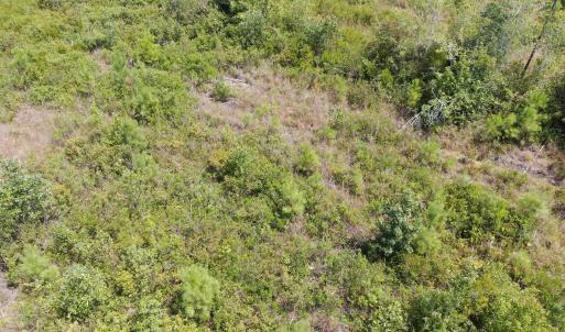 Photo #8 of Tbd Sarah Peterson, Council, NC 62.1 acres