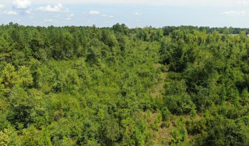 Photo #9 of Tbd Sarah Peterson, Council, NC 62.1 acres