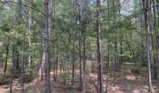 Photo #1 of 136 Cooper Drive, McCormick, SC 0.3 acres
