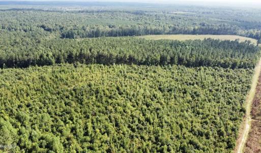 Photo #1 of Richardson, Warrenton, NC 49.3 acres