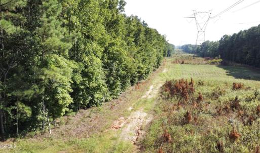 Photo #9 of Richardson, Warrenton, NC 49.3 acres