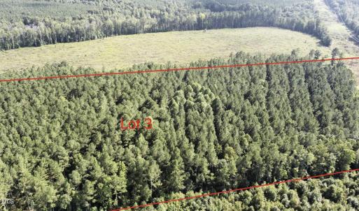 Photo #7 of Richardson, Warrenton, NC 49.3 acres