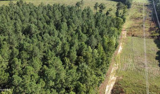 Photo #6 of Richardson, Warrenton, NC 49.3 acres