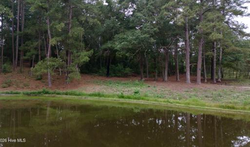 Photo #13 of 500 Glover, Warrenville, SC 11.4 acres