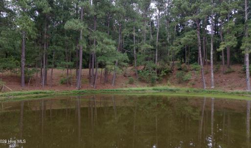 Photo #12 of 500 Glover, Warrenville, SC 11.4 acres