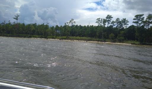 Photo #11 of 228 Hopkins Seafood, Belhaven, NC 2.0 acres
