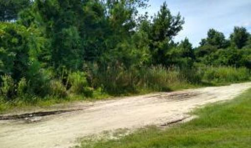 Photo #17 of 228 Hopkins Seafood, Belhaven, NC 2.0 acres