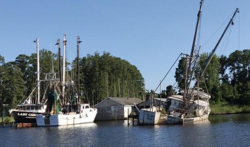 Photo #10 of 228 Hopkins Seafood, Belhaven, NC 2.0 acres