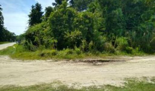 Photo #14 of 228 Hopkins Seafood, Belhaven, NC 2.0 acres