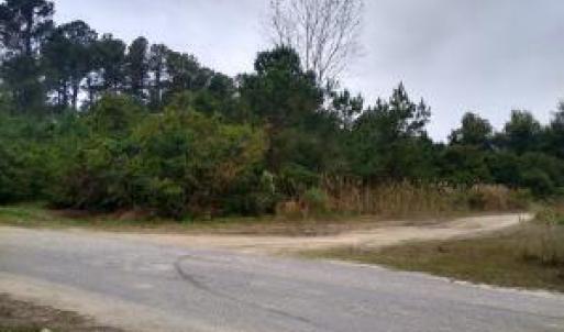 Photo #18 of 228 Hopkins Seafood, Belhaven, NC 2.0 acres