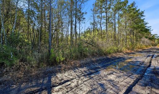 Photo #7 of 15460 Nc Highway 210, Rocky Point, NC 6.0 acres