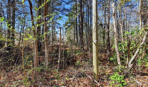Photo #8 of 15460 Nc Highway 210, Rocky Point, NC 6.0 acres