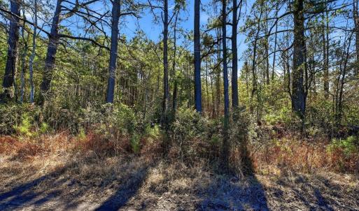 Photo #5 of 15460 Nc Highway 210, Rocky Point, NC 6.0 acres