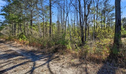 Photo #6 of 15460 Nc Highway 210, Rocky Point, NC 6.0 acres