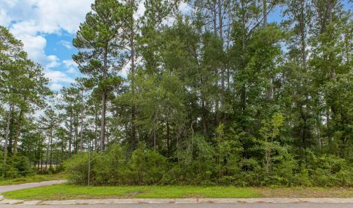 Photo #2 of 889 Pantego, Bolivia, NC 0.3 acres