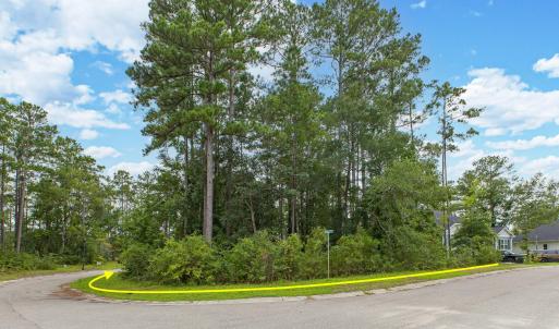 Photo #3 of 889 Pantego, Bolivia, NC 0.3 acres