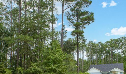 Photo #5 of 889 Pantego, Bolivia, NC 0.3 acres