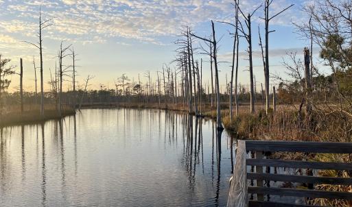 Photo #15 of 213 Lockhaven, Bolivia, NC 0.5 acres