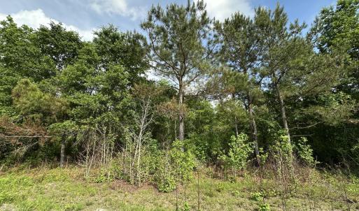 Photo #3 of Tract 2 Mcgirt, Maxton, NC 31.1 acres