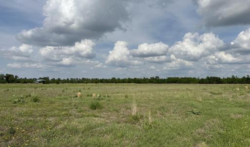 Photo #2 of Tract 2 Mcgirt, Maxton, NC 31.1 acres