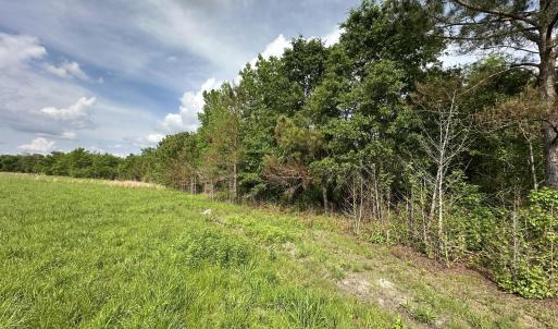 Photo #4 of Tract 2 Mcgirt, Maxton, NC 31.1 acres