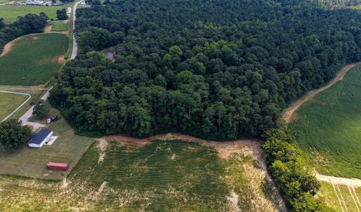 Photo #8 of Stott, Bailey, NC 13.3 acres