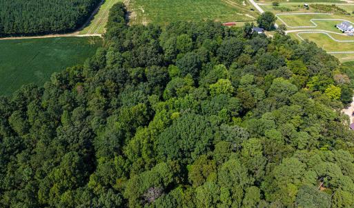 Photo #11 of Stott, Bailey, NC 13.3 acres