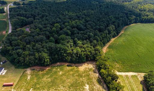 Photo #10 of Stott, Bailey, NC 13.3 acres