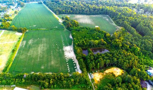 Photo #5 of Johnson East, Dunn, NC 49.5 acres