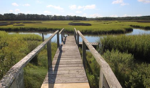 Photo #3 of 404 Madewood, Newport, NC 4.5 acres