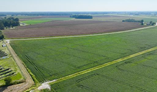 Photo #13 of Davis, Mount Olive, NC 178.9 acres