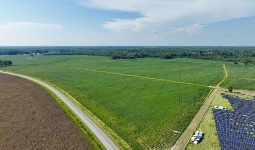 Photo #5 of Davis, Mount Olive, NC 178.9 acres