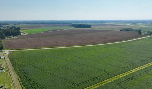 Photo #10 of Davis, Mount Olive, NC 178.9 acres