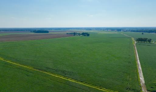 Photo #6 of Davis, Mount Olive, NC 178.9 acres