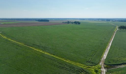 Photo #8 of Davis, Mount Olive, NC 178.9 acres