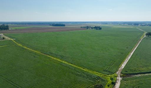 Photo #7 of Davis, Mount Olive, NC 178.9 acres