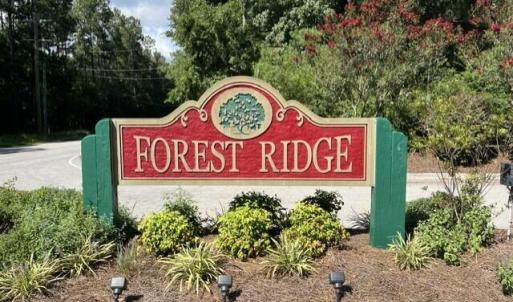 Photo #4 of 306 Joans, Stella, NC 2.4 acres