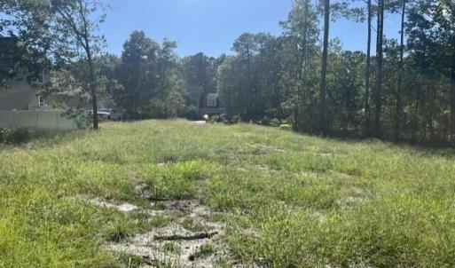 Photo #3 of 306 Joans, Stella, NC 2.4 acres